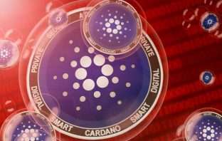 Cardano VeChain